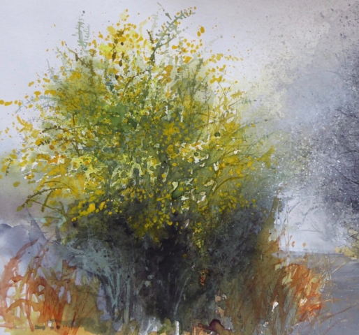 Gorse glow 20x20cm Sold